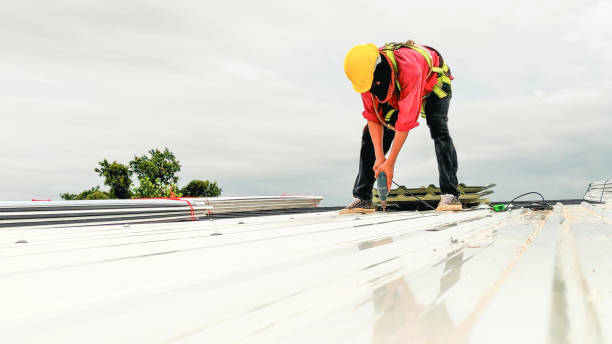 Best Sheet Metal Roofing  in Newport, SC