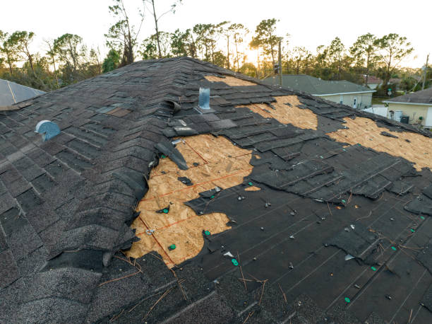 Best Hot Roofs  in Newport, SC